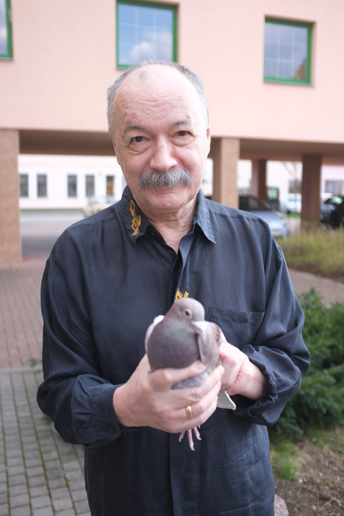 DSCF3386.JPG, 119kB