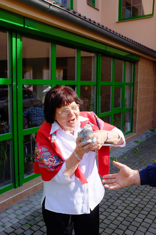 DSCF3784.JPG, 174kB
