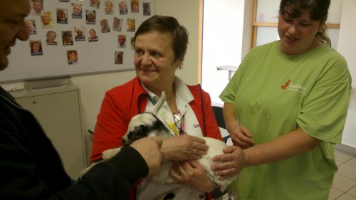 2015-02-25-919-W500.jpg, 32kB