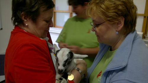 2015-02-25-922-W500.jpg, 30kB