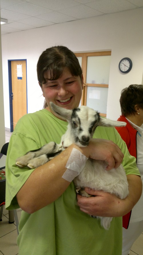 2015-02-25-943-W500.jpg, 79kB