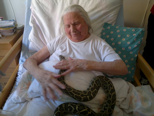 2015-04-14-1103.jpg, 46kB