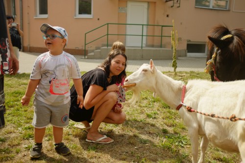 DSCF1114.JPG, 56kB