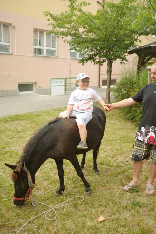 DSCF1164.JPG, 121kB