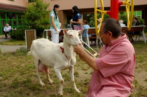 DSCF1186.JPG, 63kB