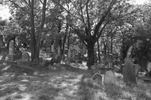DSCF2379.JPG, 72kB