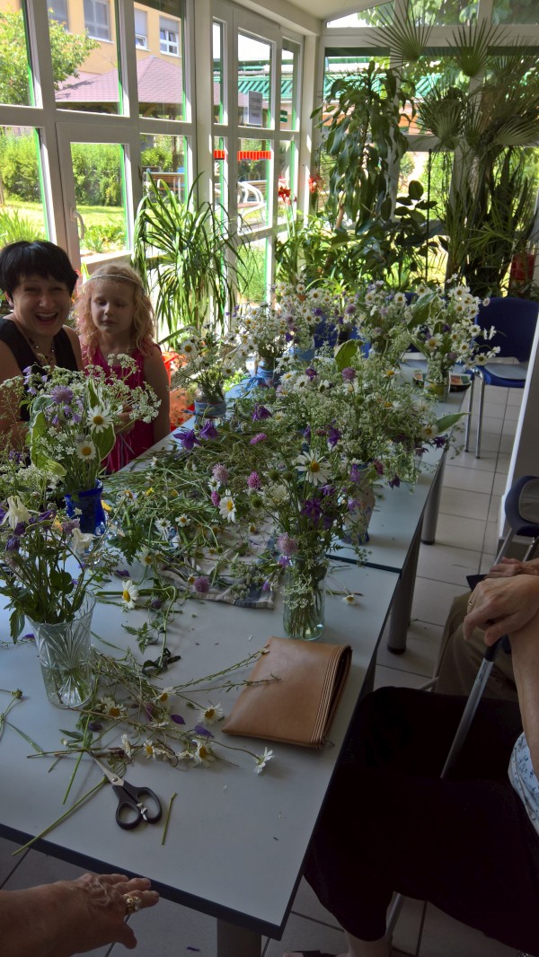 WP_20170531_14_58_29_Pro.jpg, 214kB