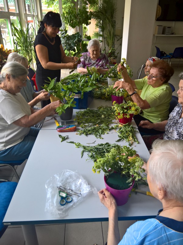 WP_20180502_14_26_43_Pro.jpg, 144kB