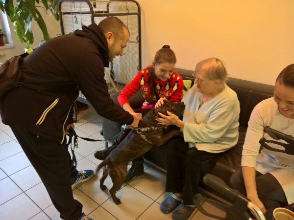 WP_20181122_14_03_58_Pro.jpg, 63kB