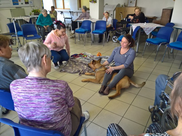 WP_20190409_10_28_06_Pro.jpg, 91kB