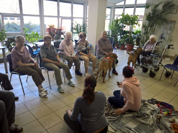 WP_20190409_10_28_39_Pro.jpg, 93kB