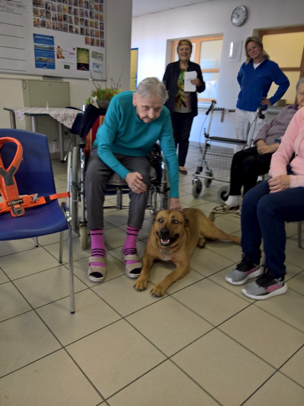 WP_20190409_10_37_43_Pro.jpg, 101kB