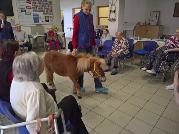 WP_20190424_14_11_39_Pro.jpg, 73kB