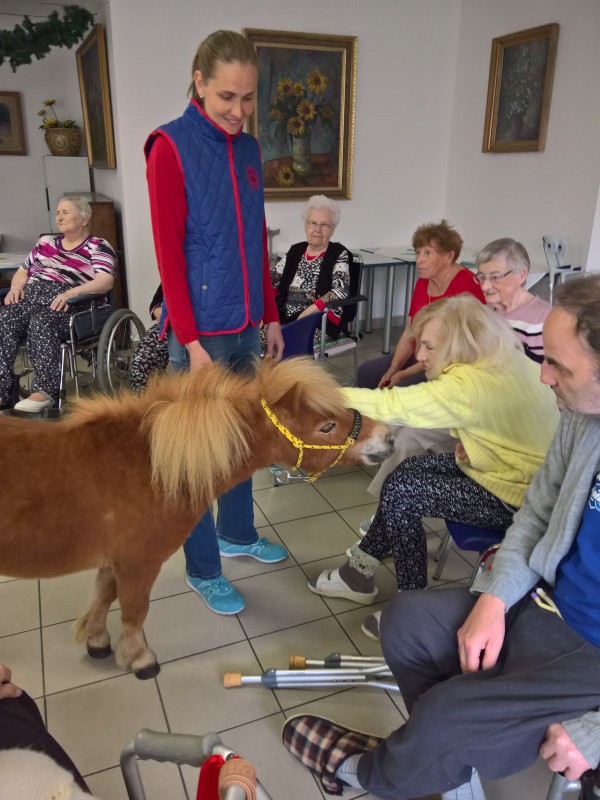 WP_20190424_14_11_47_Pro.jpg, 113kB