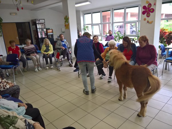 WP_20190424_14_13_53_Pro.jpg, 79kB