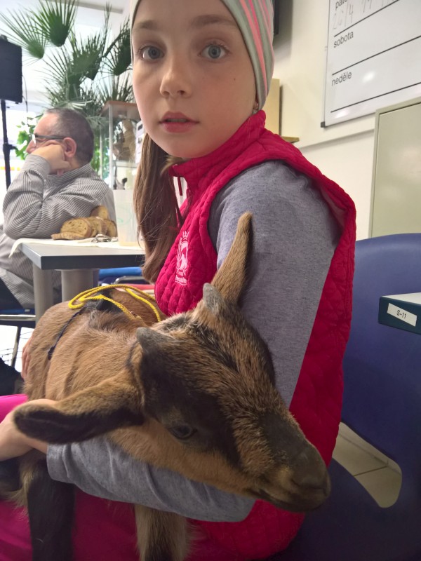 WP_20190424_14_14_17_Pro.jpg, 109kB