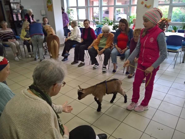 WP_20190424_14_14_43_Pro.jpg, 81kB