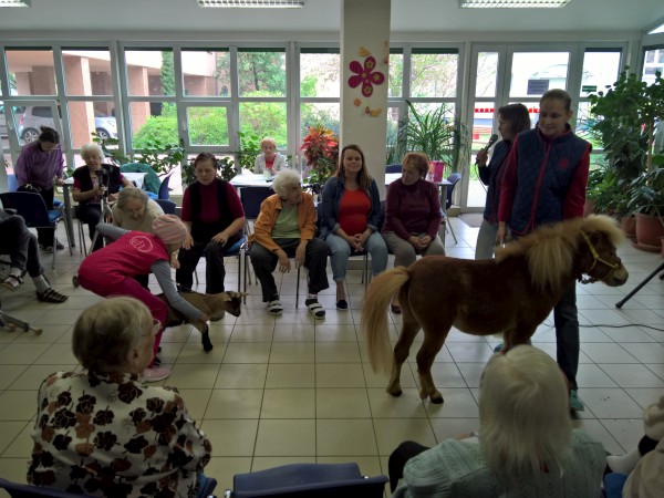 WP_20190424_14_15_31_Pro.jpg, 83kB