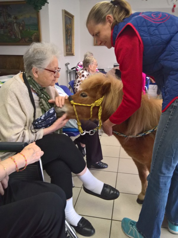 WP_20190424_14_16_31_Pro.jpg, 102kB