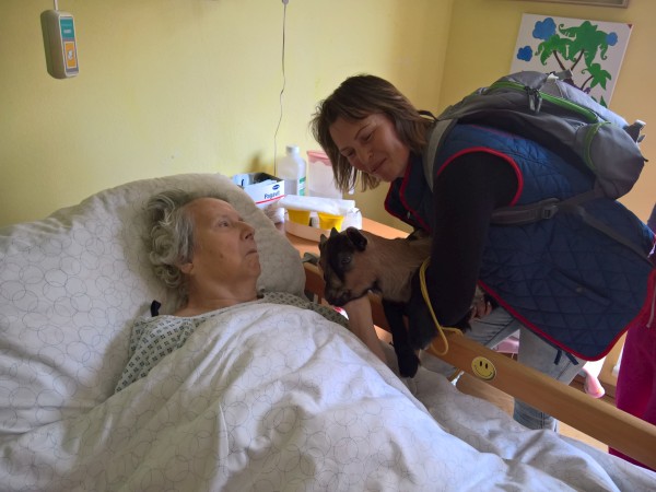 WP_20190424_14_43_07_Pro.jpg, 58kB