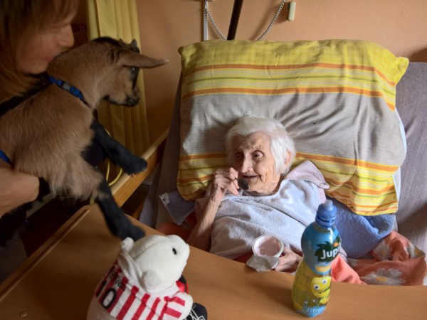 WP_20190424_14_44_21_Pro.jpg, 64kB