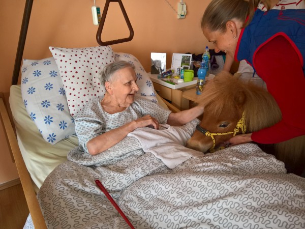 WP_20190424_14_44_41_Pro.jpg, 84kB