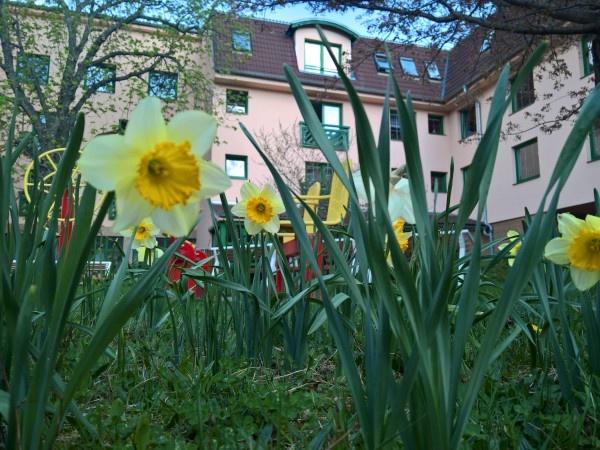 WP_20200417_16_21_24_Pro.jpg, 105kB