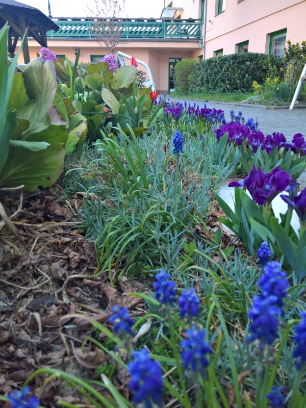 WP_20200418_08_51_16_Pro.jpg, 176kB