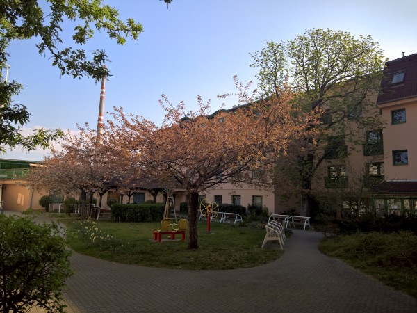 WP_20200418_08_52_22_Pro.jpg, 90kB