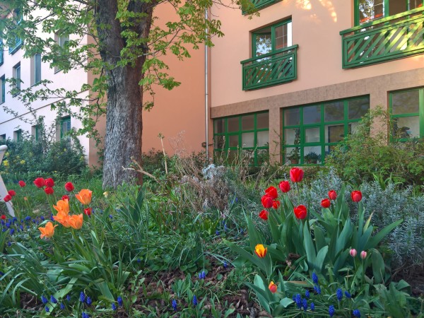 WP_20210430_19_17_53_Rich.jpg, 118kB