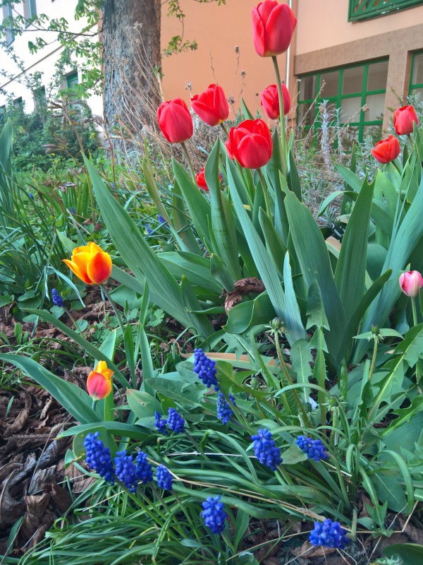 WP_20210430_19_18_02_Rich.jpg, 193kB