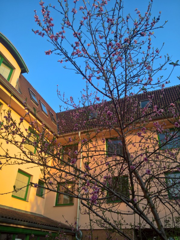 WP_20210430_19_18_15_Rich.jpg, 211kB