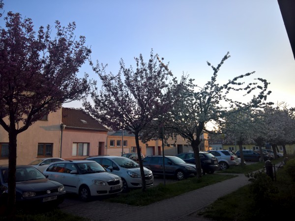 WP_20210430_19_18_58_Pro.jpg, 83kB