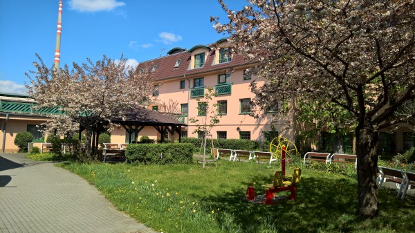 WP_20210503_14_29_53_Rich.jpg, 92kB