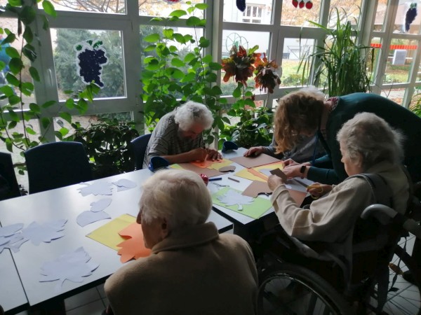 IMG-20221108-WA0005.jpg, 81kB