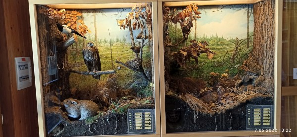 IMG_20220617_102214.jpg, 69kB