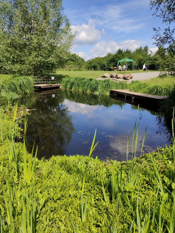 IMG_20220617_103143.jpg, 228kB