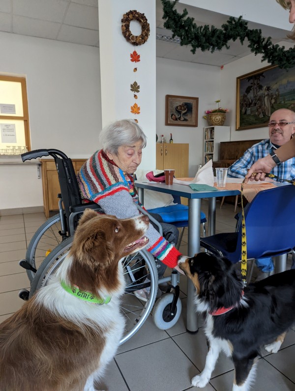 PXL_20221103_131250461.jpg, 123kB