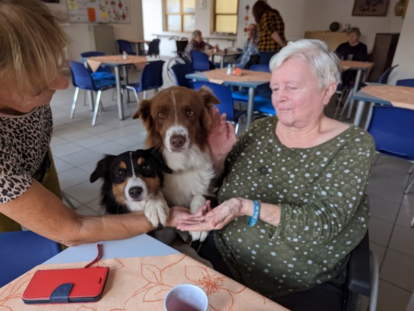 PXL_20221103_131643874.jpg, 76kB