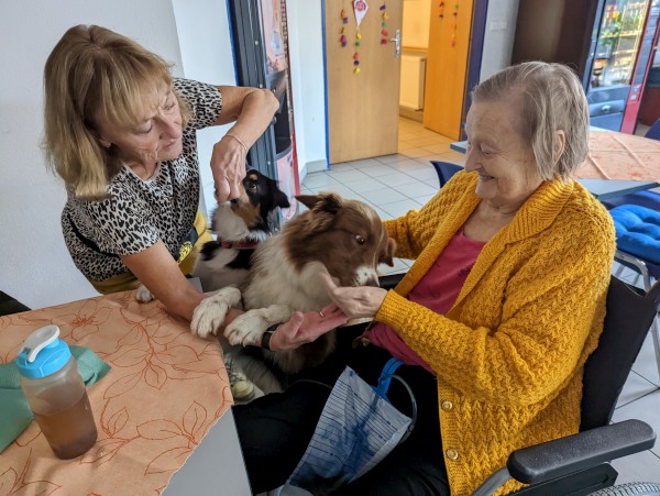 PXL_20221103_131808689.jpg, 90kB