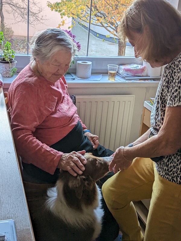 PXL_20221103_132507011.jpg, 145kB