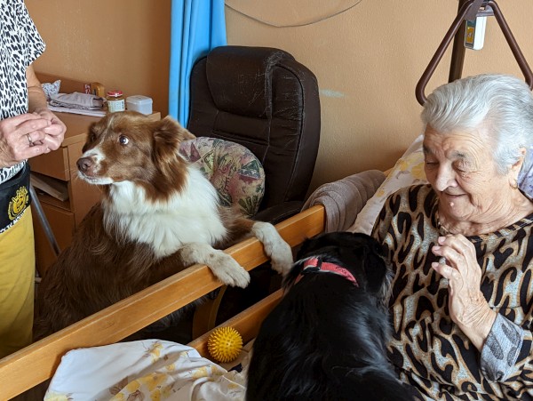 PXL_20221103_132934862.jpg, 89kB