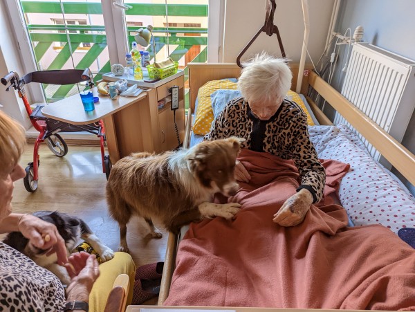 PXL_20221103_133147688.jpg, 98kB