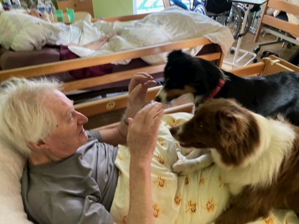 image1 (2).jpg, 64kB