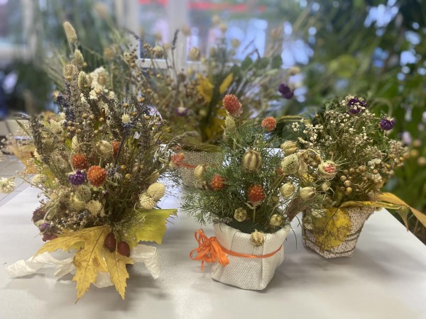 368291067_1063182038032405_7017370442770527416_n.jpg, 87kB