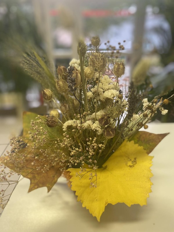 380465778_1541487029947742_923814372467584360_n.jpg, 100kB