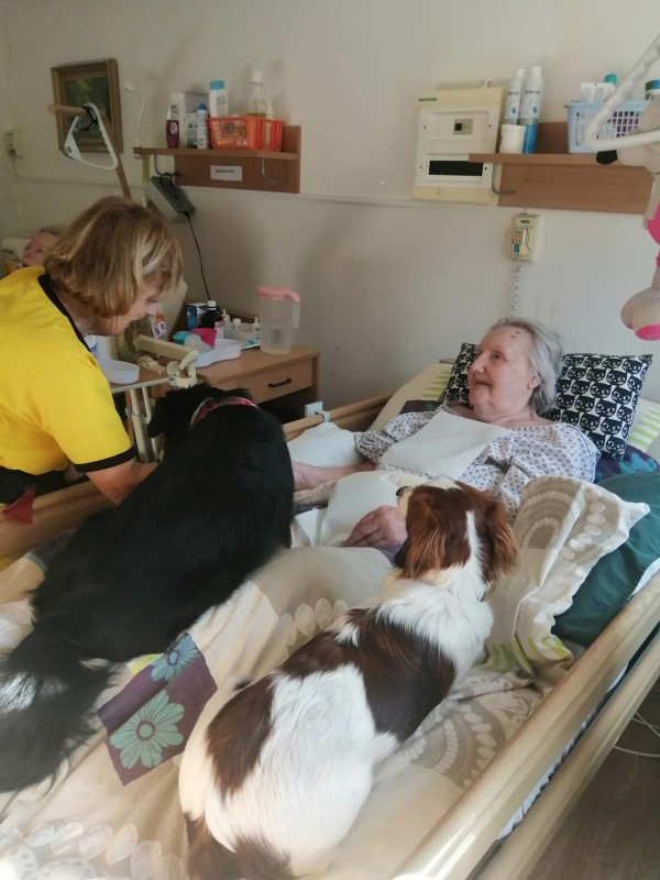 IMG-20230313-WA0000.jpg, 93kB