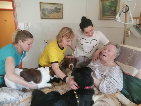 IMG-20230313-WA0007.jpg, 58kB