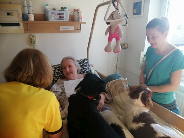 IMG-20230313-WA0011.jpg, 54kB