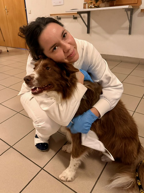 canis43.jpg, 168kB